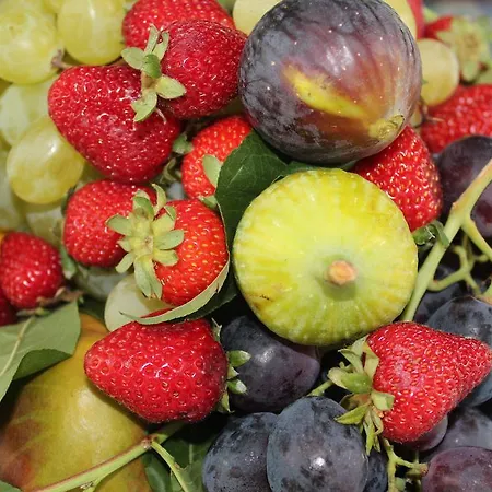 Piazza Tasso Relais 索伦托